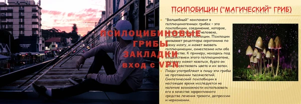 MESCALINE Белокуриха