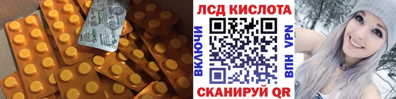 продажа наркотиков мориарти наркотические препараты hydra рабочий сайт LSD-25 экстази ecstasy Губкинский