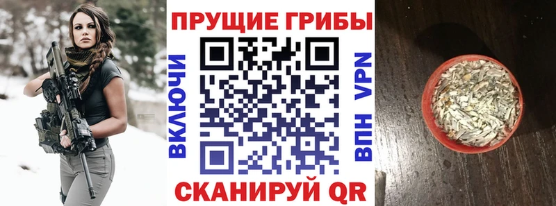 Галлюциногенные грибы ЛСД Губкинский